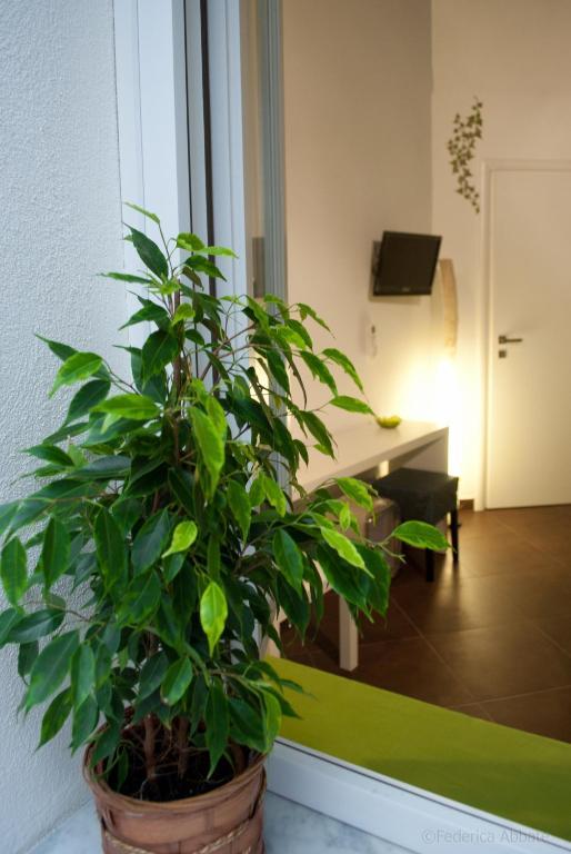 Affittacamere B&B Carella Palermo Room photo